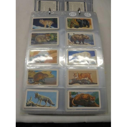 1052 - An excellent collection of Canada Brooke Bond tea cards.