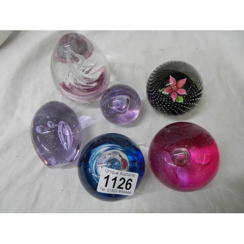 1126 - Six good glass paperweights including Caithness,.