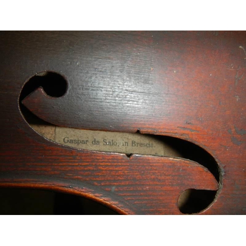 1144 - An old violin marked Copiede,, Gaspar Da Salo in Brescia.