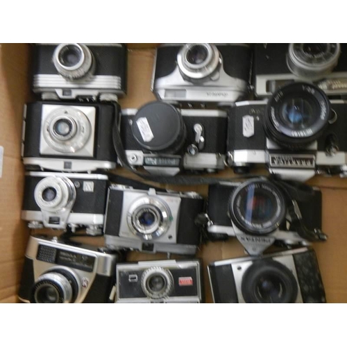 1157 - Twelve SLR and Auto vintage camera's.