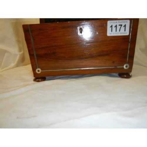 1171 - A Victorian rosewood tea caddy in very good condition.