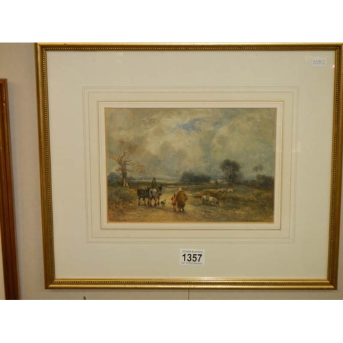 Lot 1357      