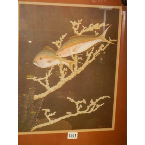 1361 - A framed and glazed watercolour of Koi swimming through coral.