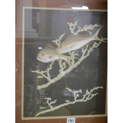 1361 - A framed and glazed watercolour of Koi swimming through coral.