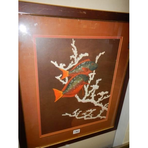 1362 - A framed and glazed watercolour of Koi swimming through coral.