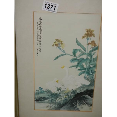 1371 - A framed and glazed signed Chinese watercolour featuring geese.