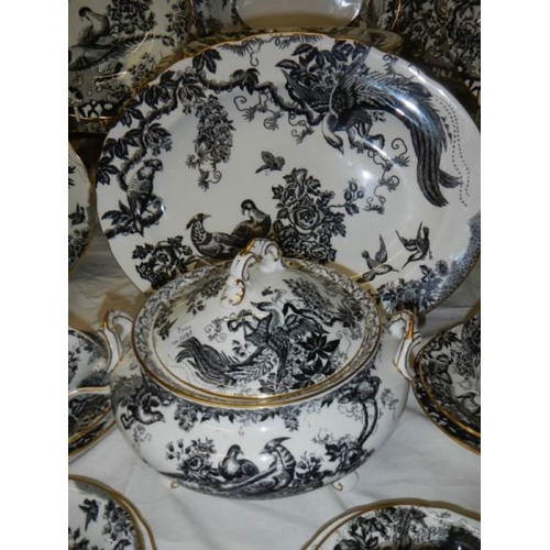 1243 - A Royal Crown Derby 'Black Aves' pattern dinner set, A1310, approximately 46 pieces.