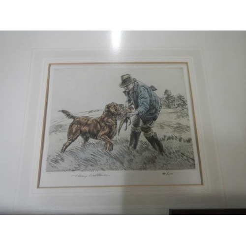 1274 - Three framed and glazed hunting dog prints.