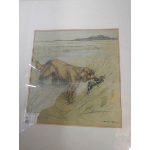 1274 - Three framed and glazed hunting dog prints.