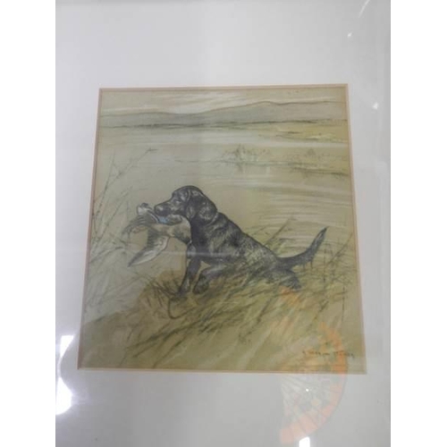 1274 - Three framed and glazed hunting dog prints.