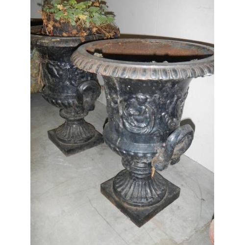 1493 - A pair of cast iron garden urns. COLLECT ONLY.