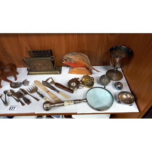 831 - An inlaid oak musical box, flatware, taxidermy, red belly Pirana fish & magnifying glass etc.