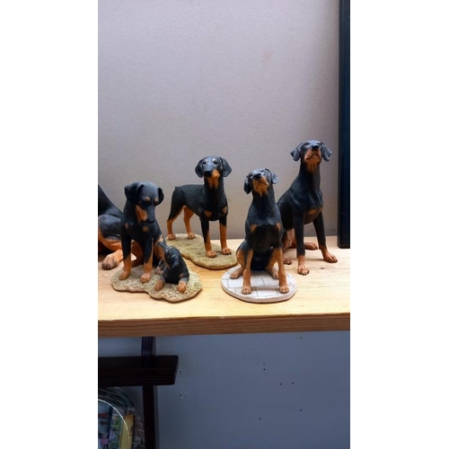 62 - A quantity of Doberman figures, 1 by Country Artists, 3 by Sherratt & Simpson, 1 unnamed, 2 by Borde... 