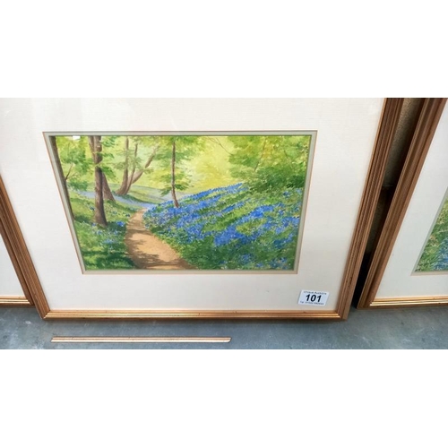 101 - 3 gilt framed watercolours by Sue Goodchild