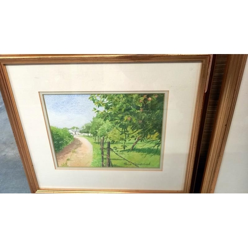 101 - 3 gilt framed watercolours by Sue Goodchild