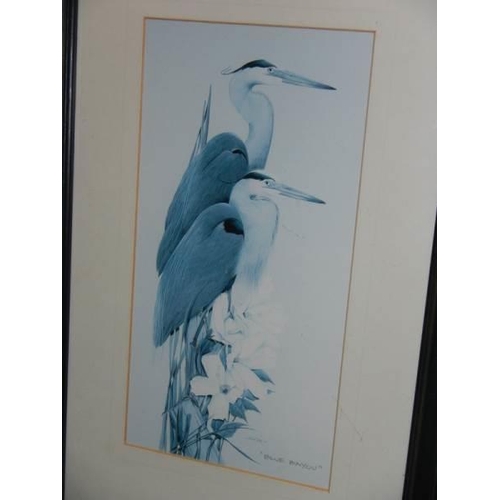 850 - A pair of framed and glazed studies of herons.