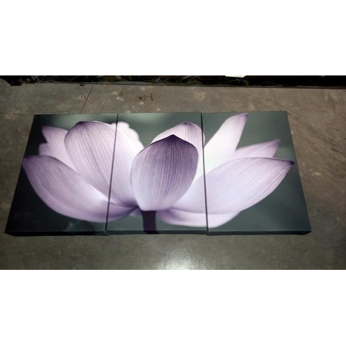 44 - 3 Sets of prints on canvas