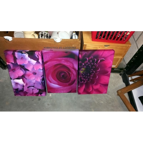 44 - 3 Sets of prints on canvas