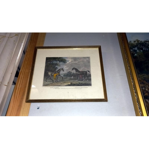 234 - A pair of Framed & glazed 19th Century horse related prints