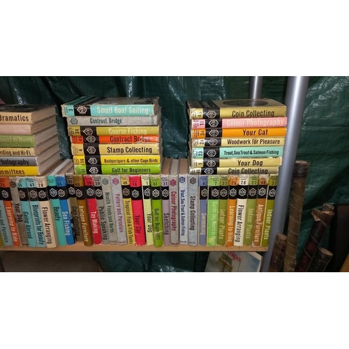 297 - A large quantity of Collins Nutshell books (approximately 70)