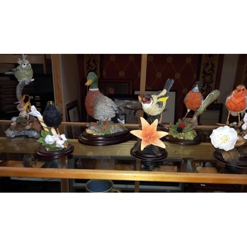 350 - A good selection of bird ornament including Country Artist