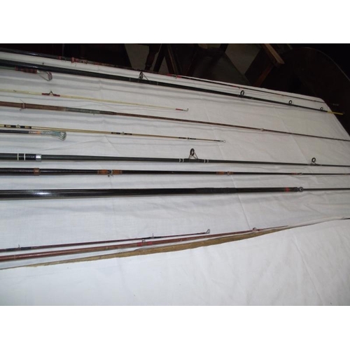 1099 - A good collection of fishing rods