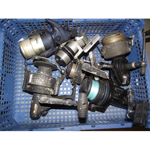 1124 - Quantity of used fishing reels including Mitchell 487, Shakespeare 21/70 Okuma etc