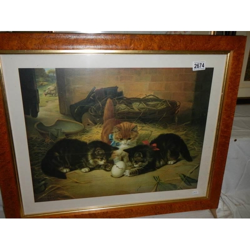 2674 - A Bird's eye maple framed study of kittens, COLLECT ONLY.