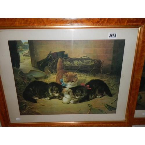 2675 - A Bird's eye maple framed study of kittens, COLLECT ONLY.