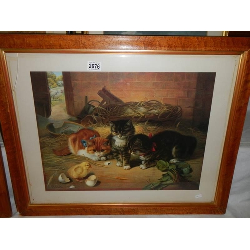 2676 - A Bird's eye maple framed study of kittens, COLLECT ONLY.