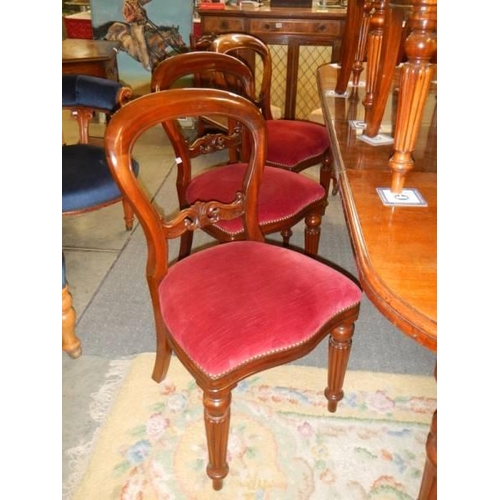 2857 - A Victorian mahogany wind out dining table and a set of twelve later mahogany dining chairs, COLLECT... 