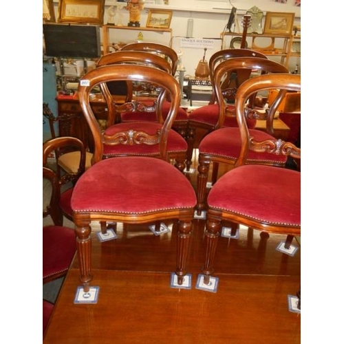 2857 - A Victorian mahogany wind out dining table and a set of twelve later mahogany dining chairs, COLLECT... 