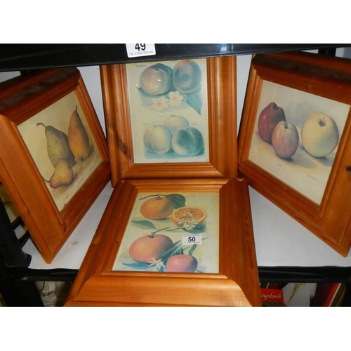 50 - Four mid 20th century pine framed still life pictures,