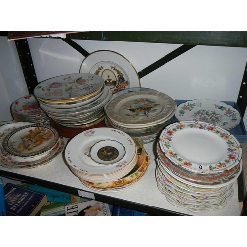 8 - A good lot of collector's plates, one shelf. COLLECT ONLY.