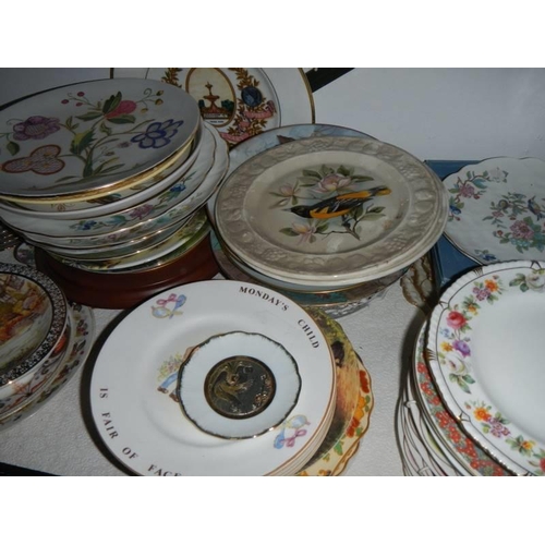 8 - A good lot of collector's plates, one shelf. COLLECT ONLY.