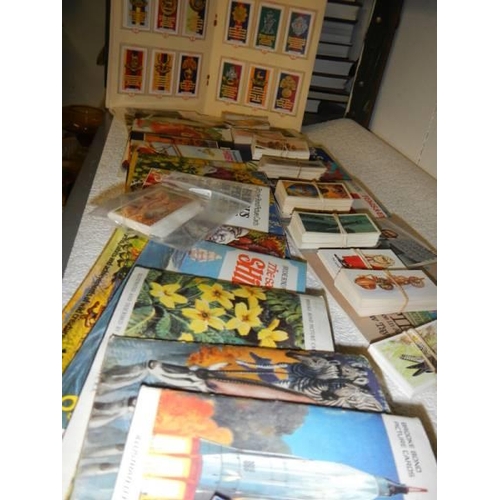 9 - A good lot of tea cards, in albums and loose.