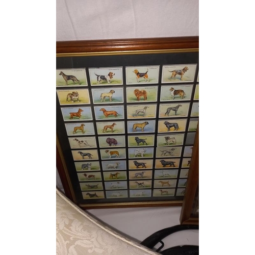 1365 - 2 framed original sets of Players and Willis dog cigarette cards and a Players display of horses COL... 