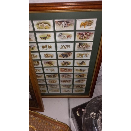 1365 - 2 framed original sets of Players and Willis dog cigarette cards and a Players display of horses COL... 