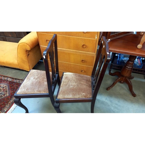 1515 - A pair of Edwardian dining/hall chairs, COLLECT ONLY