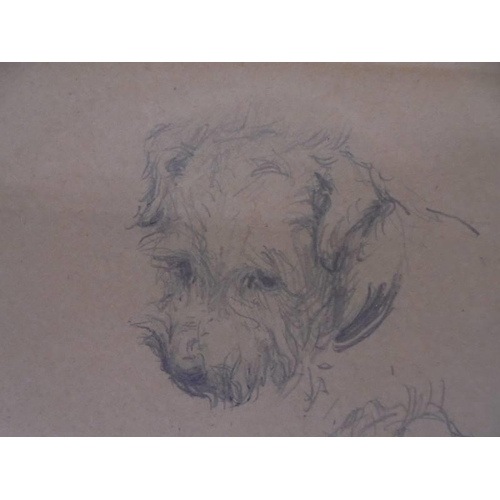 1119 - A small vintage drawing of dog heads, signed but indistinct.