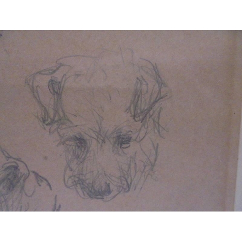 1119 - A small vintage drawing of dog heads, signed but indistinct.