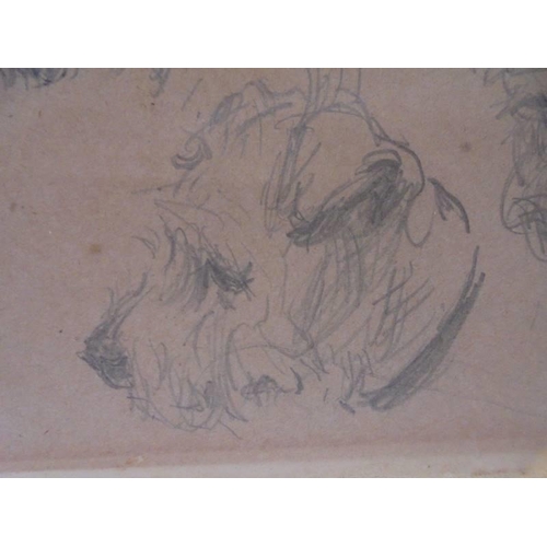 1119 - A small vintage drawing of dog heads, signed but indistinct.