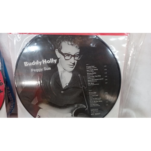 648 - Four Buddy Holly picture disc LP's.