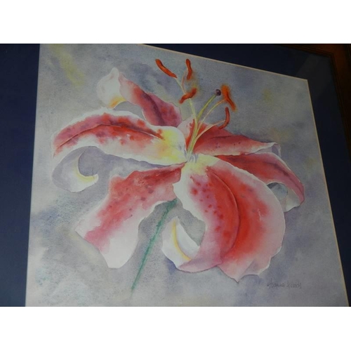 1374 - A good framed and glazed watercolour study of a pink orchid, 70 x 74 cm, COLLECT ONLY.