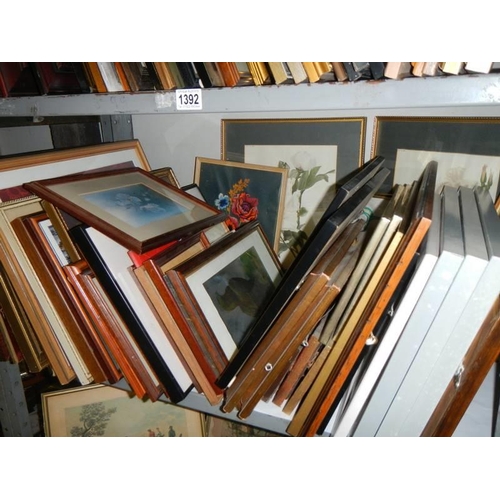 1392 - A large lot of pictures and frames on two shelves, COLLECT ONLY.