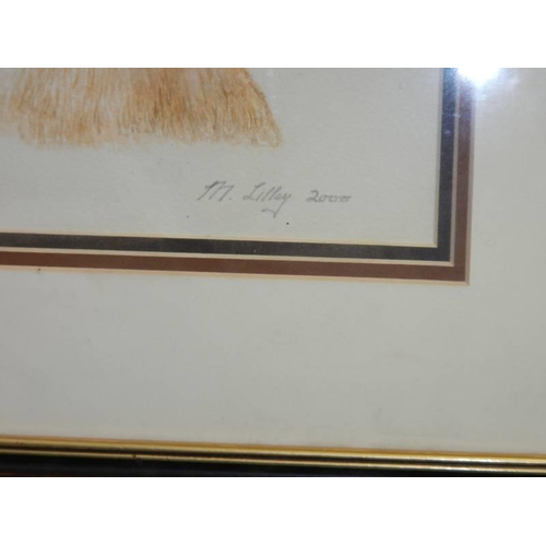 1409 - A framed and glazed drawing of a terrier signed M Lilley 2000.