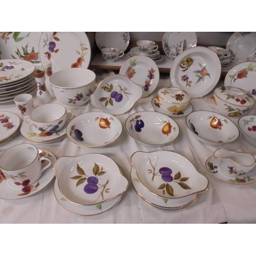 1309 - Approximately fifty pieces of Royal Worcester Evesham pattern table ware, COLLECT ONLY.