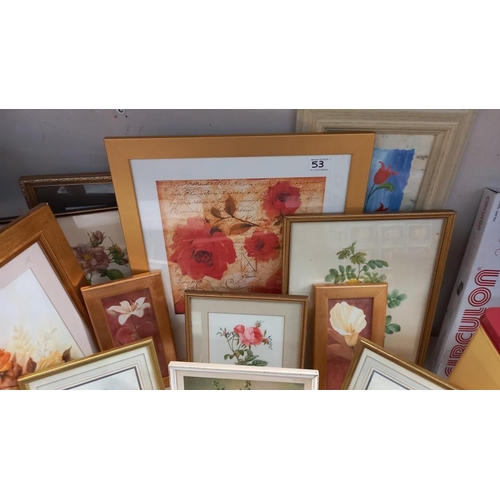 53 - A good selection of framed floral prints COLLECT ONLY