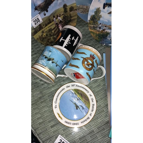 258 - A misc lot of aircraft/RAF items, mugs, collectors plates, teacards, books, photos, etc