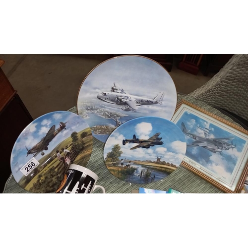 258 - A misc lot of aircraft/RAF items, mugs, collectors plates, teacards, books, photos, etc